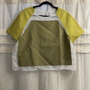 Plus size lime green and sheer crop top, size 24